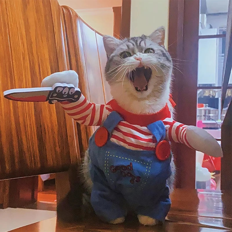 Disfraz de Halloween para mascotas