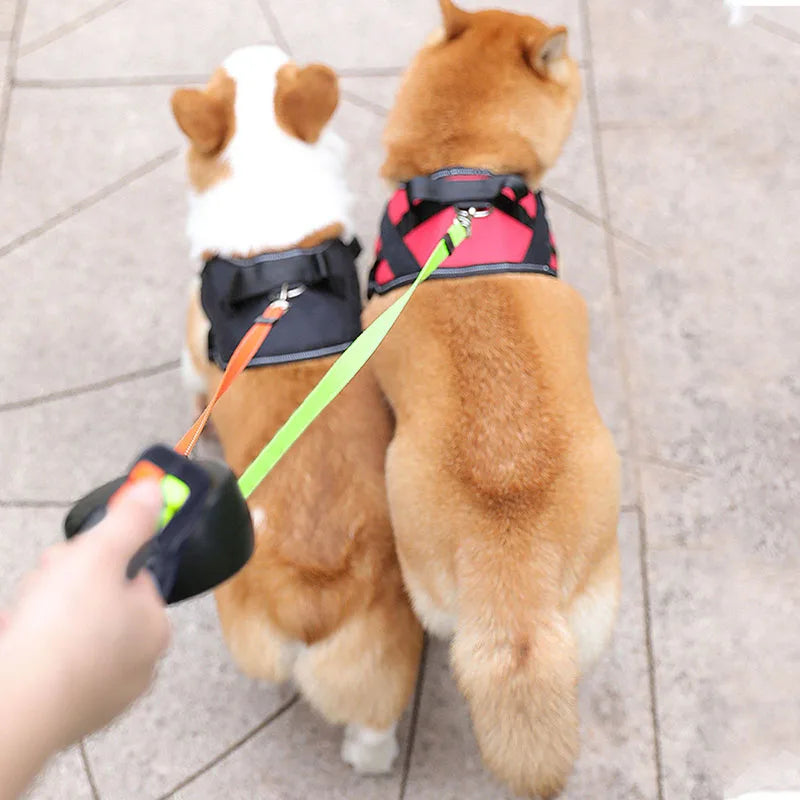 Correa doble retráctil para perro con luces LED