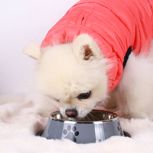 Plato de acero inoxidable para mascotas