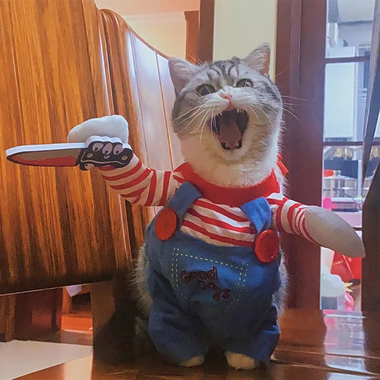 Disfraz de Halloween para mascotas